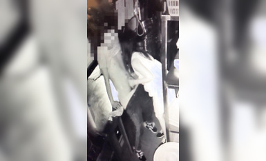 最新流出萬狼求購OnlyFans地獄調教大咖【狗王】私拍第三季~吃精雙通車震各種刺激玩法 (15)