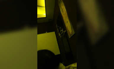 yanyan：；“。”