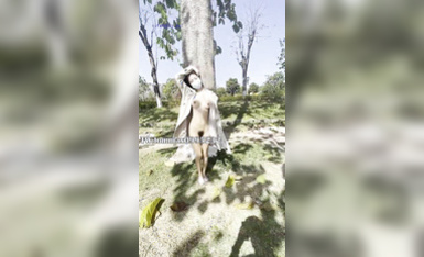 戶外露出系列 (10)