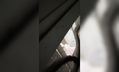 朋友邻居妹妹洗澡3