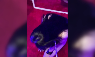 母狗跪在地上，_被爸爸一耳光扇飛