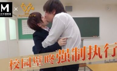 麻豆AV 番外 校園壁咚強制執行